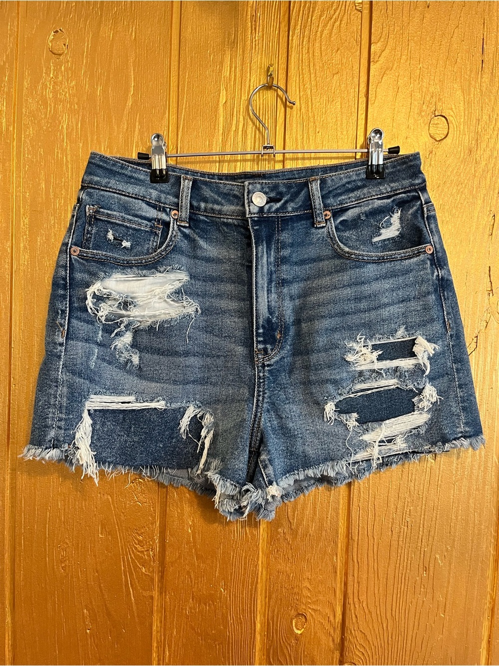 American Eagle Outfitters Distressed Denim Shorts